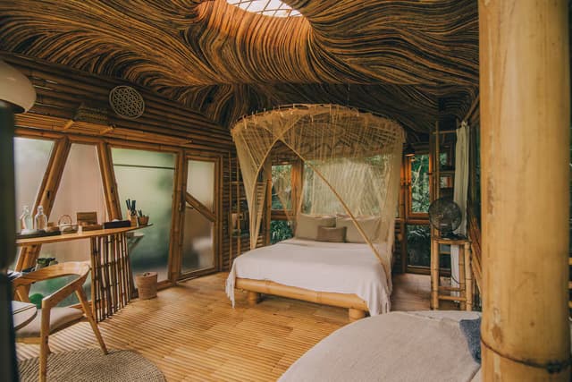 Jungle Treehouse Retreat 2